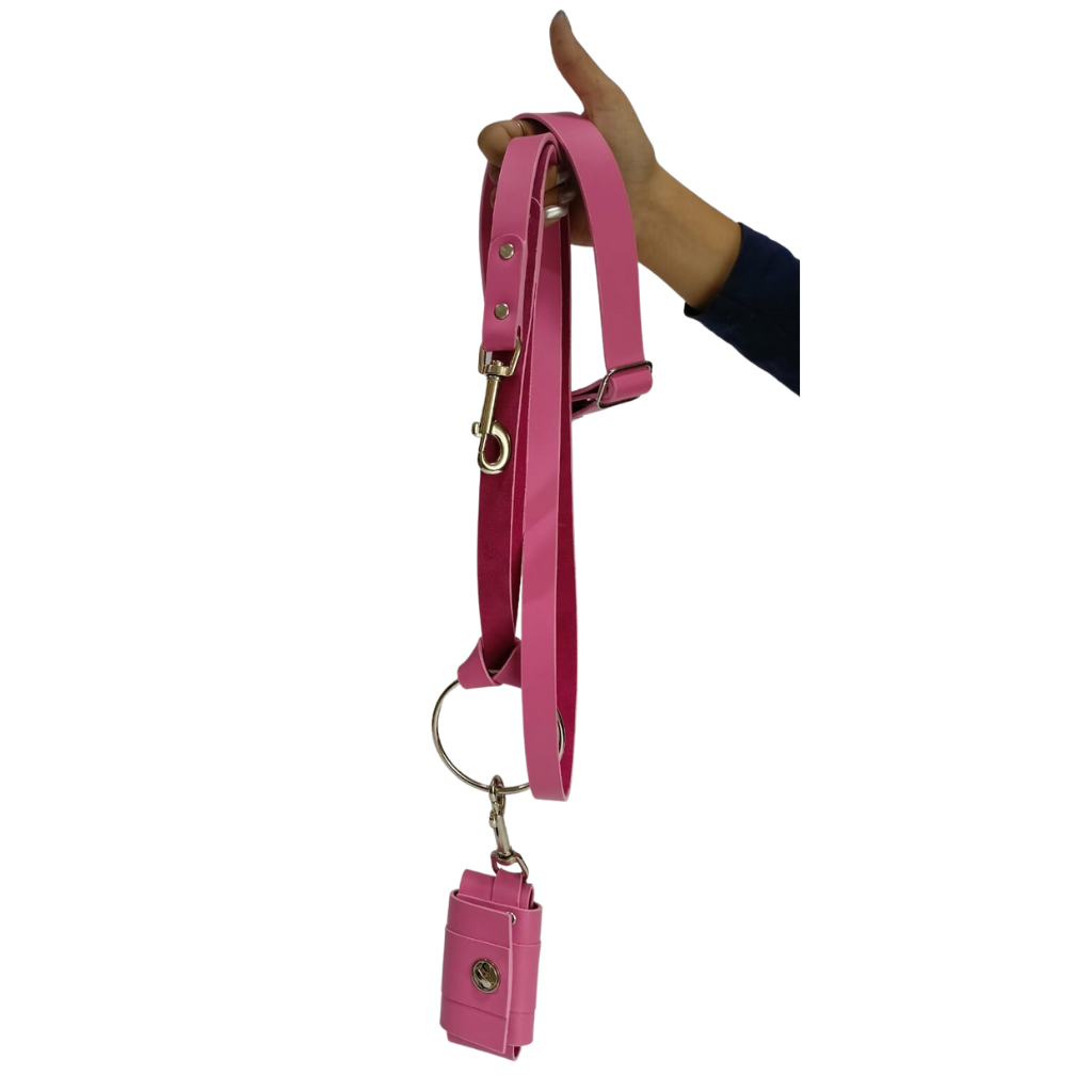 Dog collar with leash and Poop bag